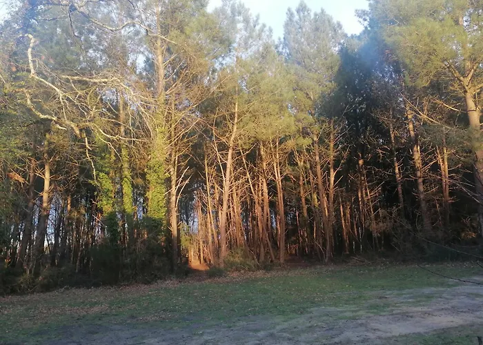 Maison Au Coeur De La Foret